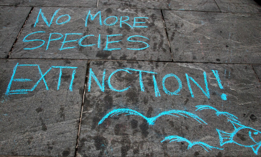 Chalk message on April 17. Felton Davis. CC BY 2.0