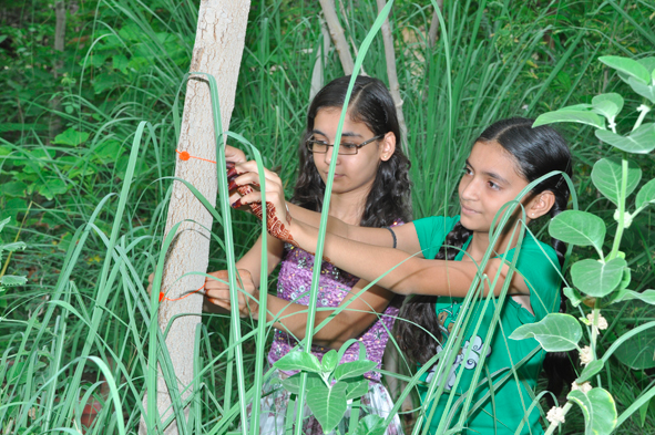 Girls connecting with the trees in Piplantri. Photo provided by Piplantri Village.
