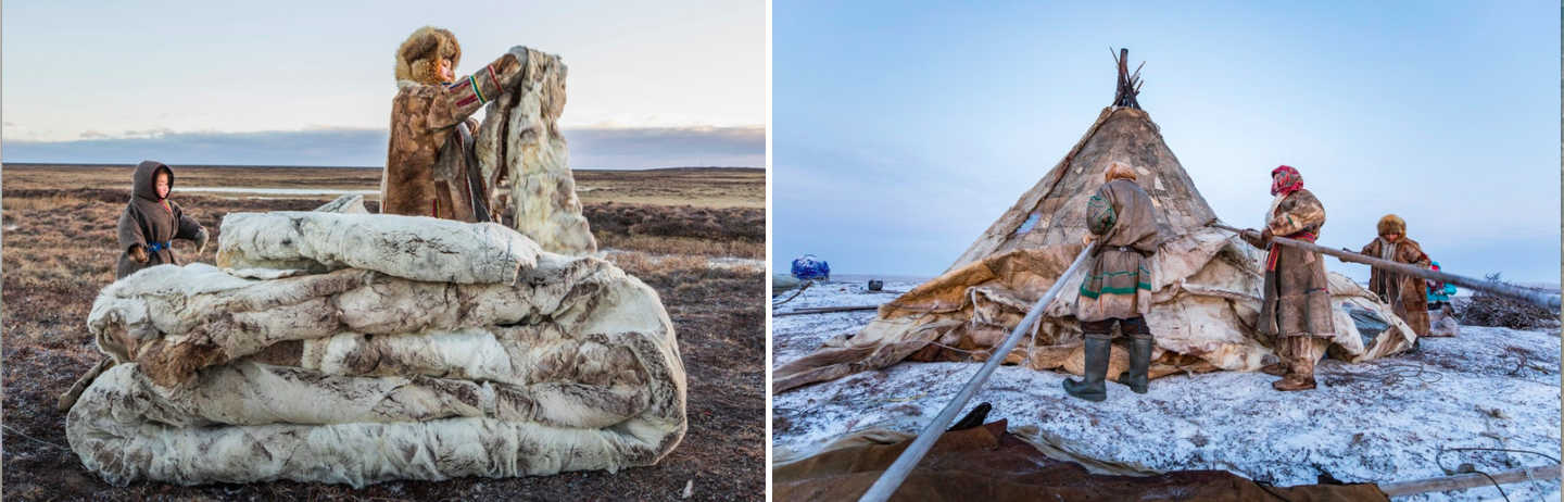As the seasons change, Nenets families change their chum coverings from light summer skin to thick fur hide. Passed down through generations, the winter cover consists of four layers of reindeer skin, stitched by hand over a whole year, from more then one hundred reindeer.