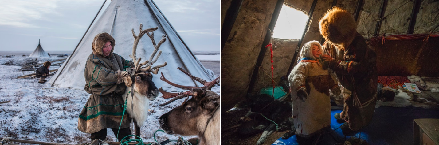 Each member of a traditional Nenets family has specific responsibilities that together are essential to their collective survival on the tundra. While, Leo tends to the reindeer herd out on the tundra, Lena cares for their four year old daughter, Christina.