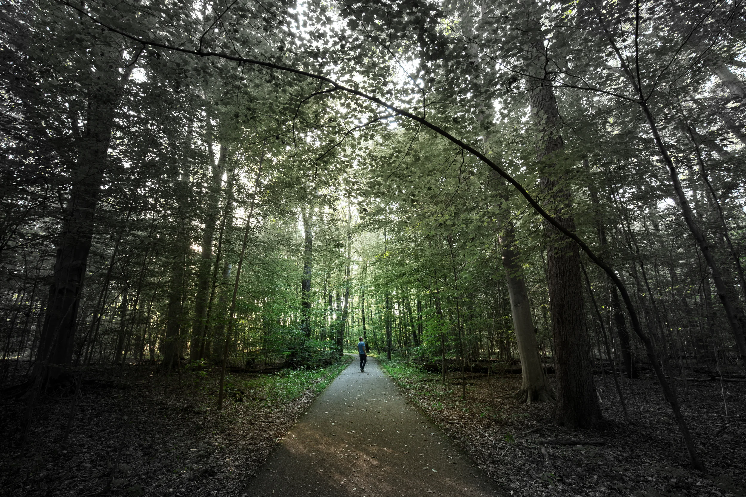 The Seed is in Itself