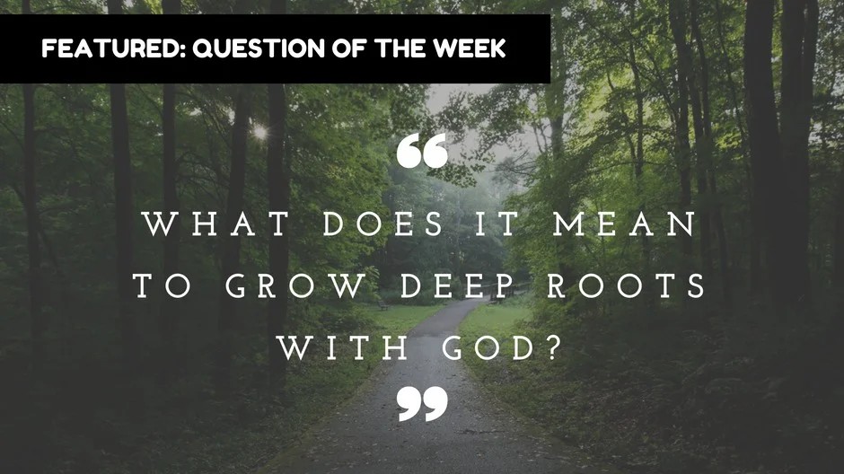 ROOTEDQUESTION.jpg
