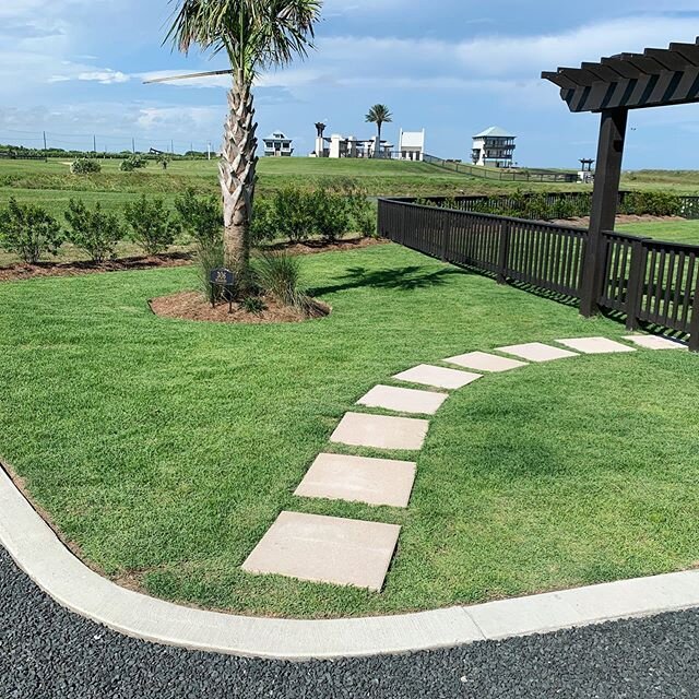 At @seagrassbeach we not only build superior beach homes, but we also excel at delivering beautifully manicured lawns that feel amazing on your bare feet. .
.
.
.
.
#seagrassbeach #beachfronthome #luxuryhomes #beachhouse #zoysiagrass #zoysia #beautif