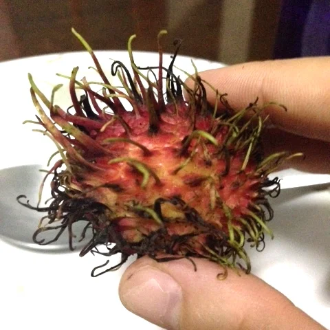 A slice of Thai everyday life.