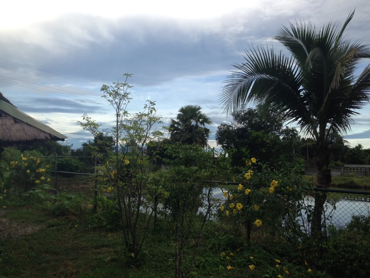 Quilling at Hands of Hope