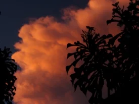 Simplicity in Practice