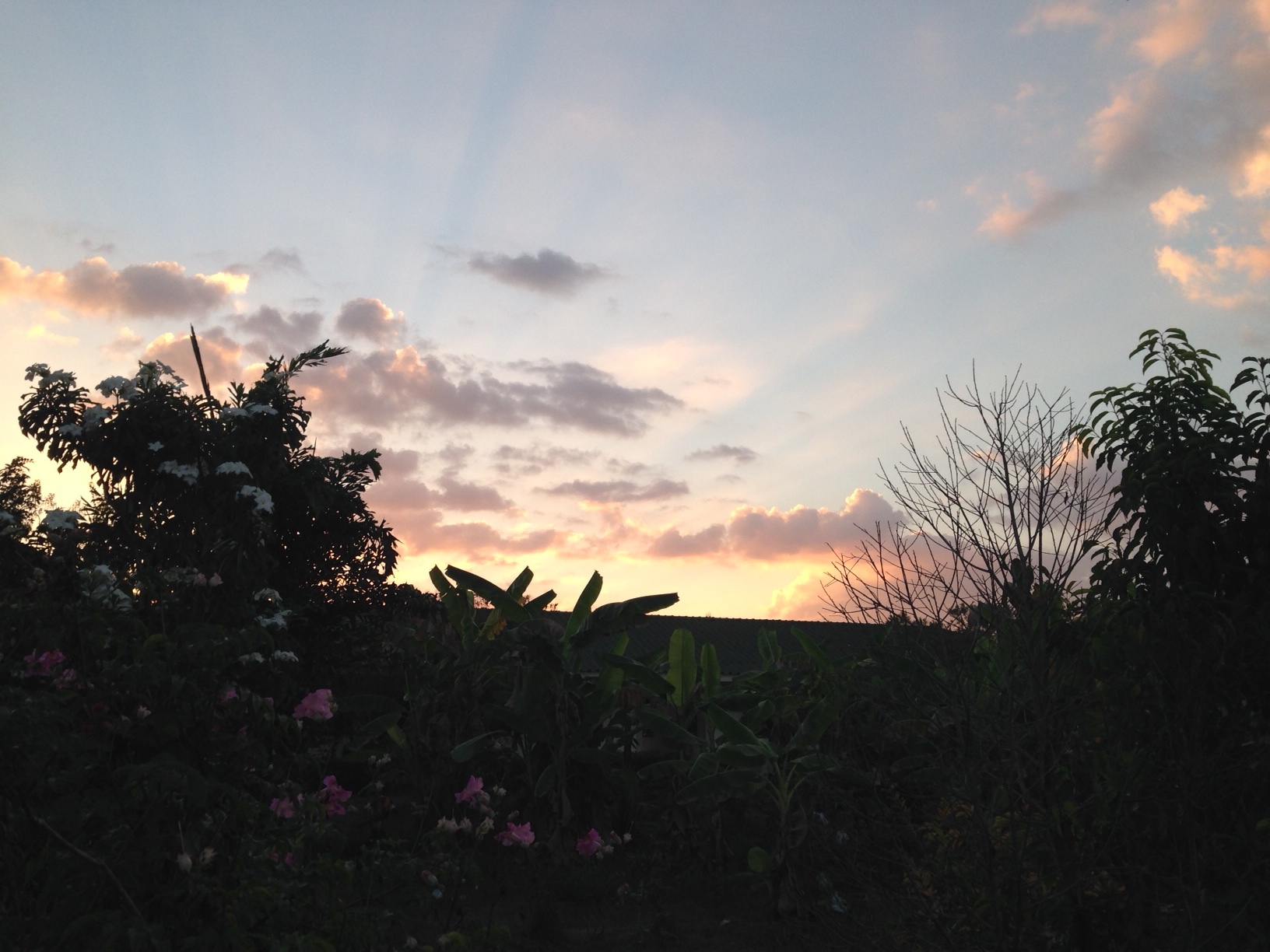 Khun Susan's Ideal Day