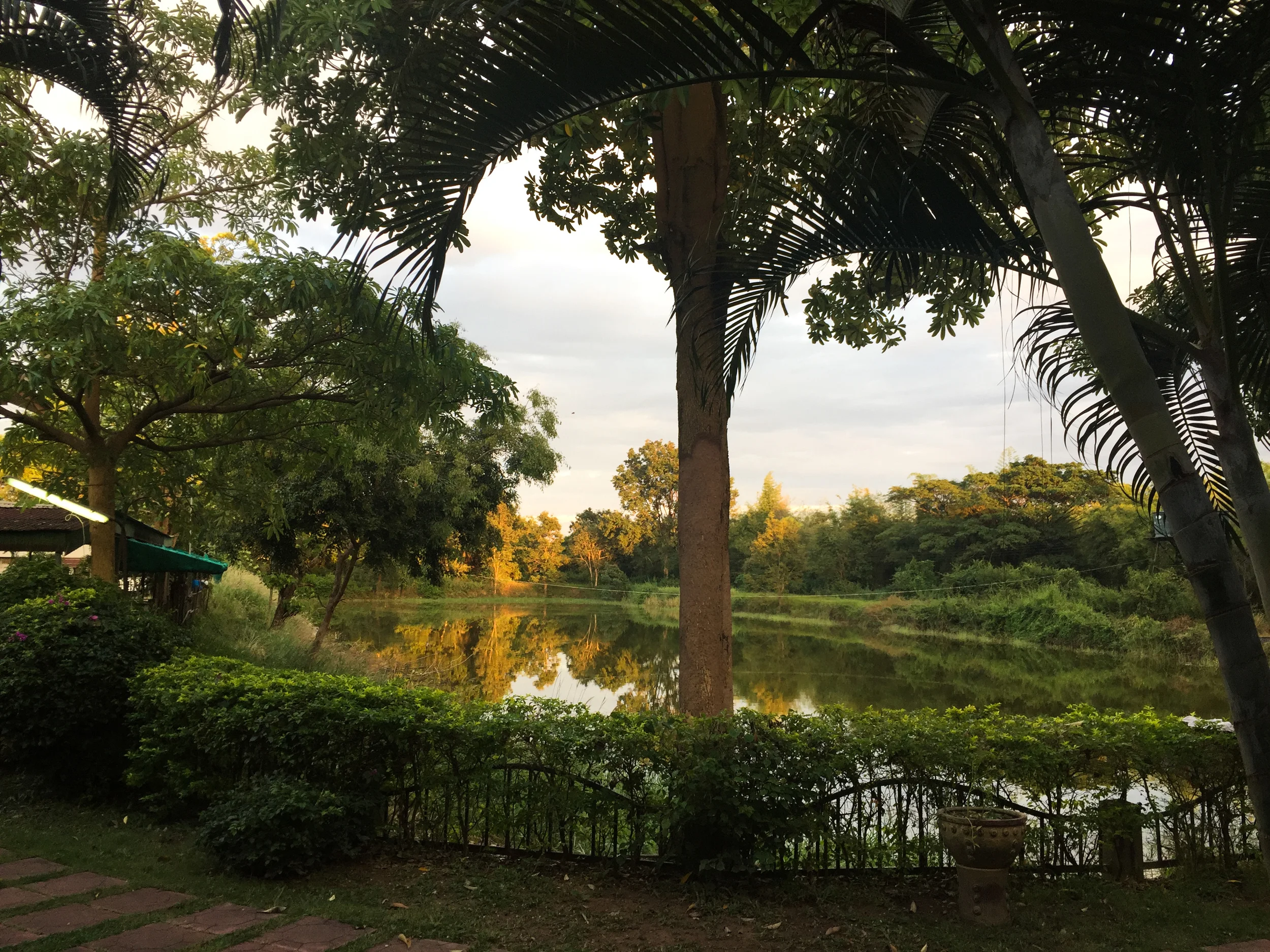 Getting up on weekends to Skype does afford me this morning view on a regular basis... It seems I cannot help but take a photo all the time.
