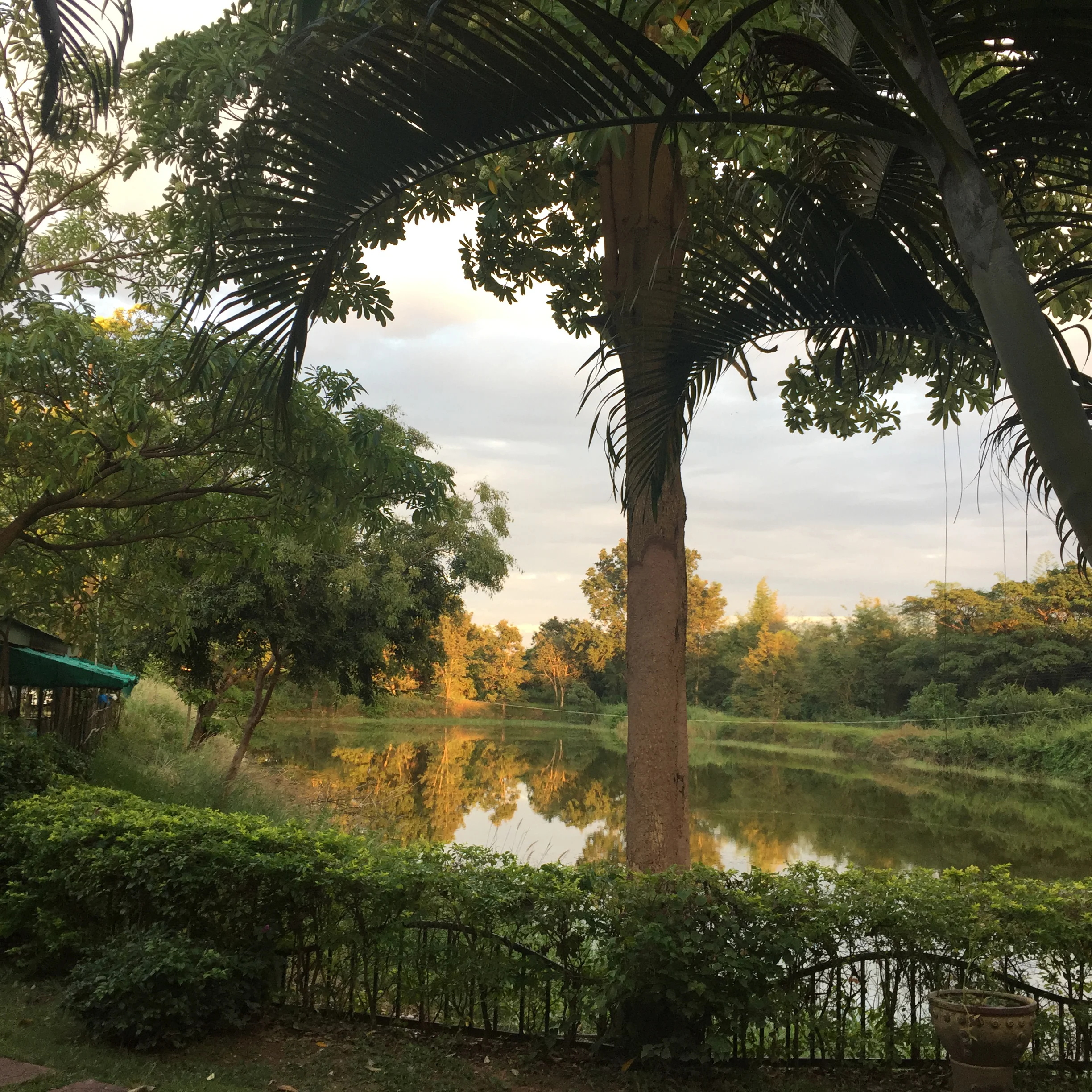 Mittapap Pond