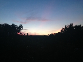 Glimpses into my Massage World