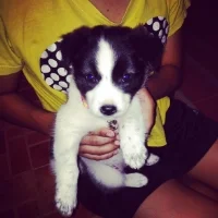 Mountains Beyond Mountains