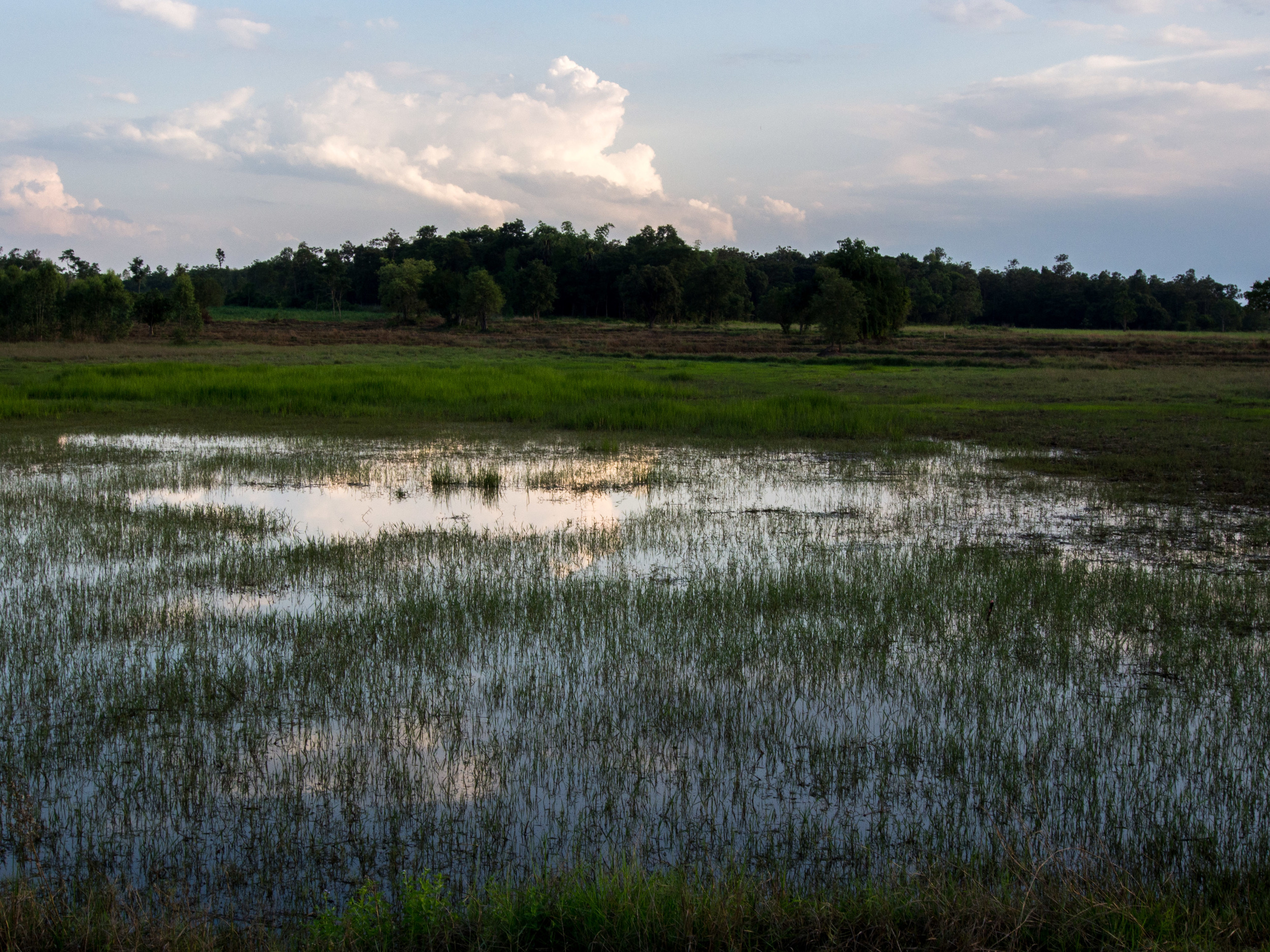 Countryside-2.jpg