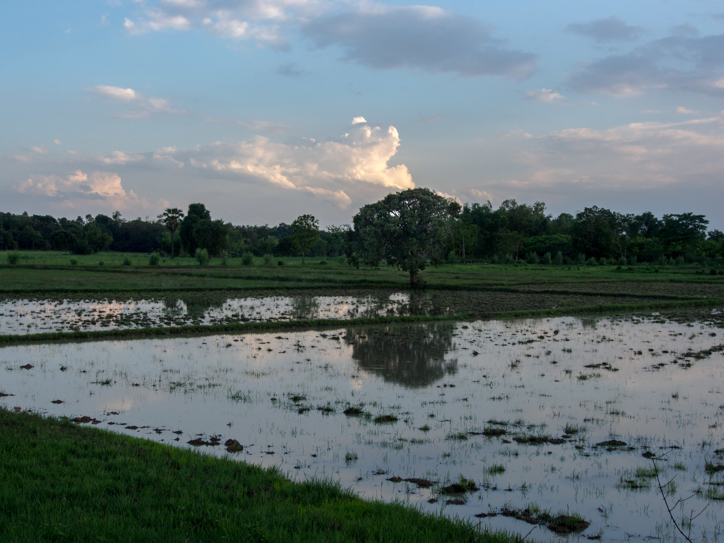 Countryside-3.jpg