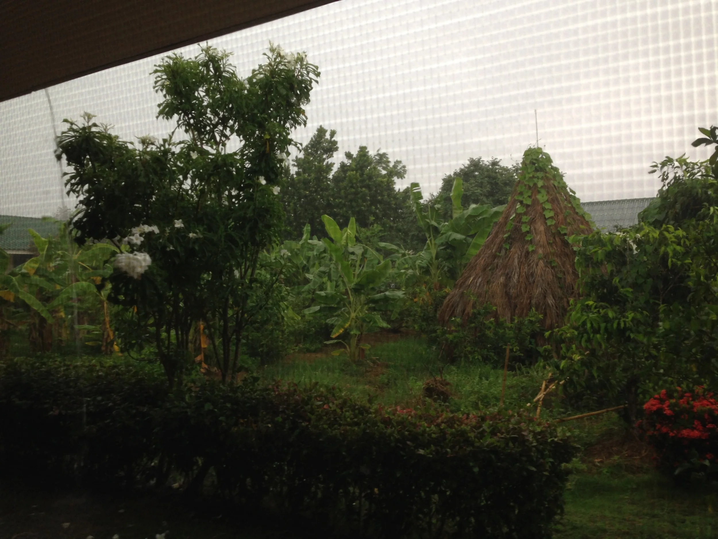 Rainy days are more common as the rainy season begins