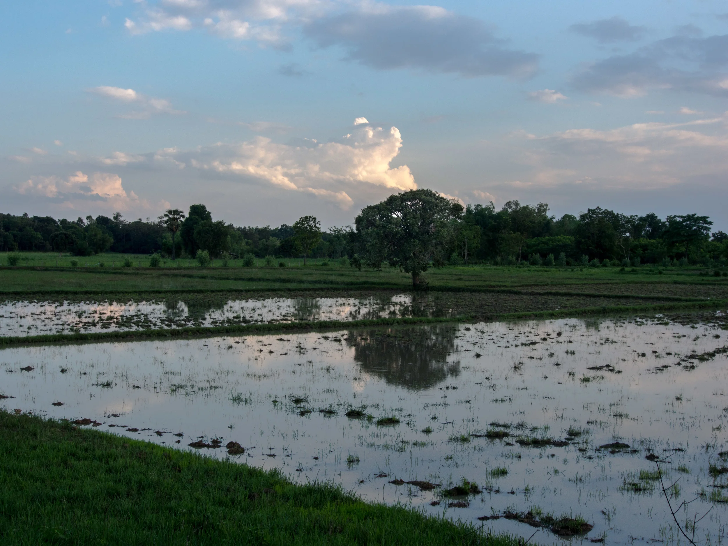 Countryside-3.jpg