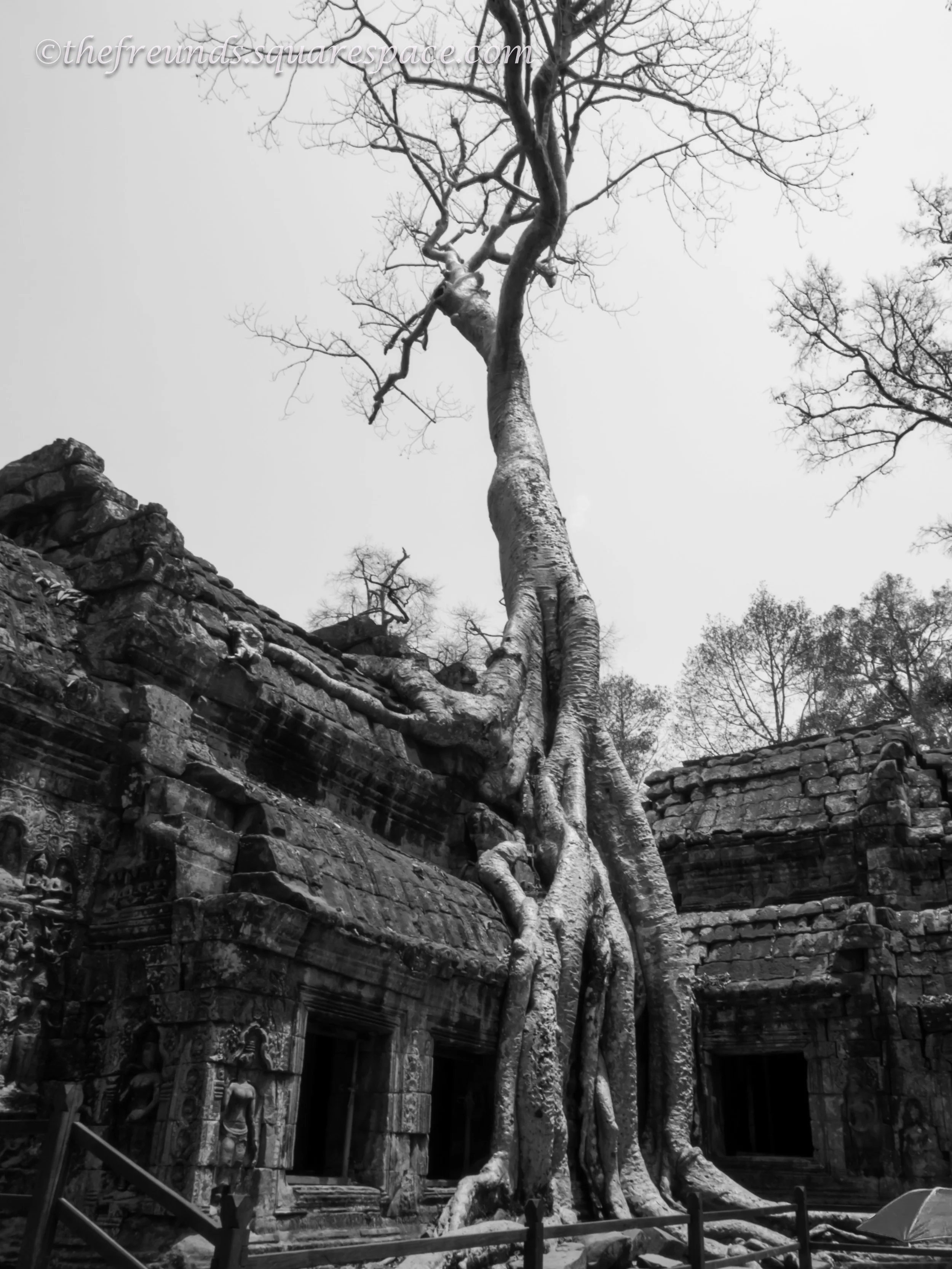 Angkor_SiemReap-31.jpg