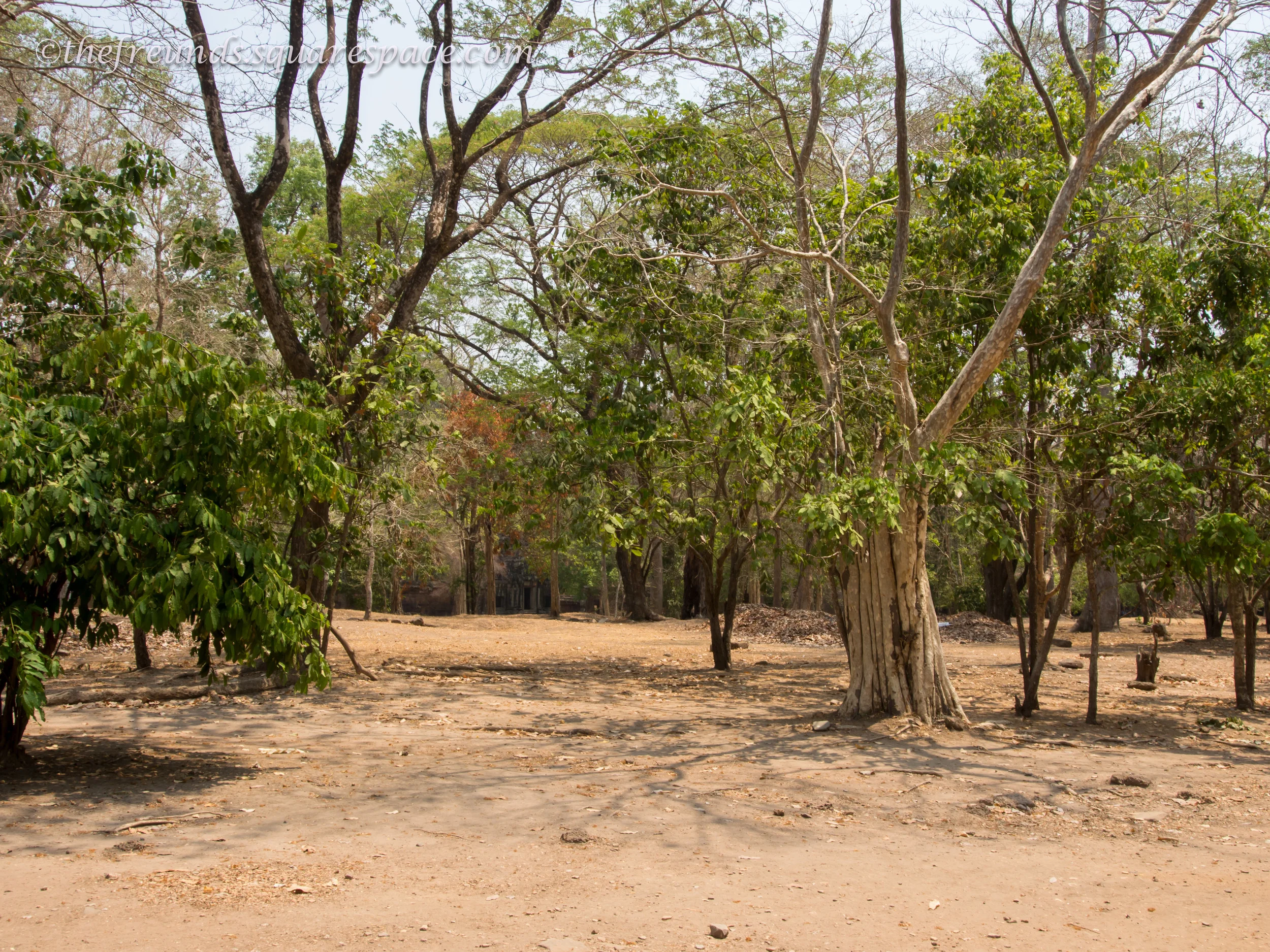 Angkor_SiemReap-27.jpg