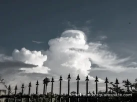 The Look of 10 Months