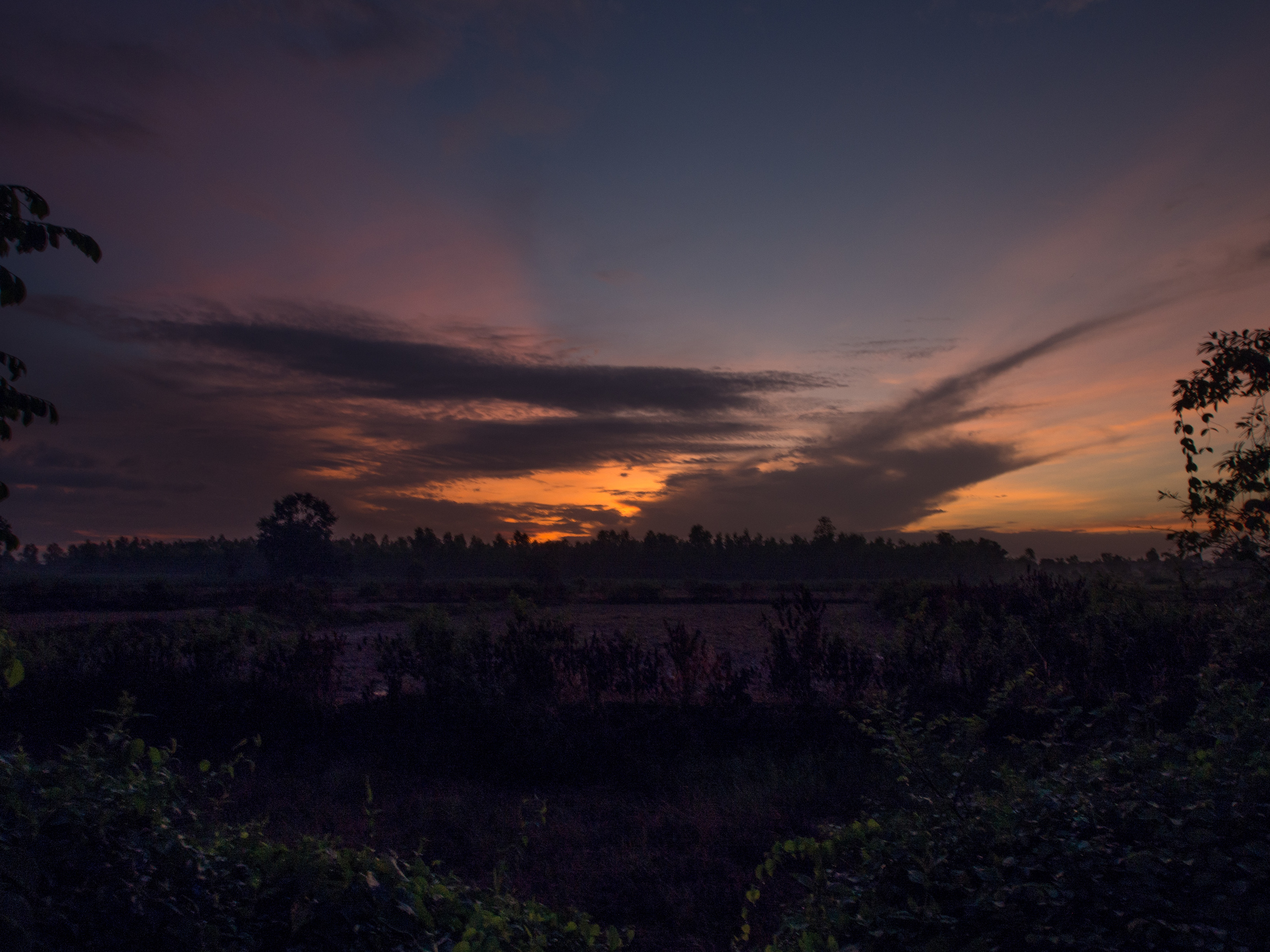 SunItRises-1.jpg