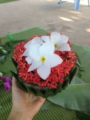 Holidays, Hands of Hope, and Harvesting