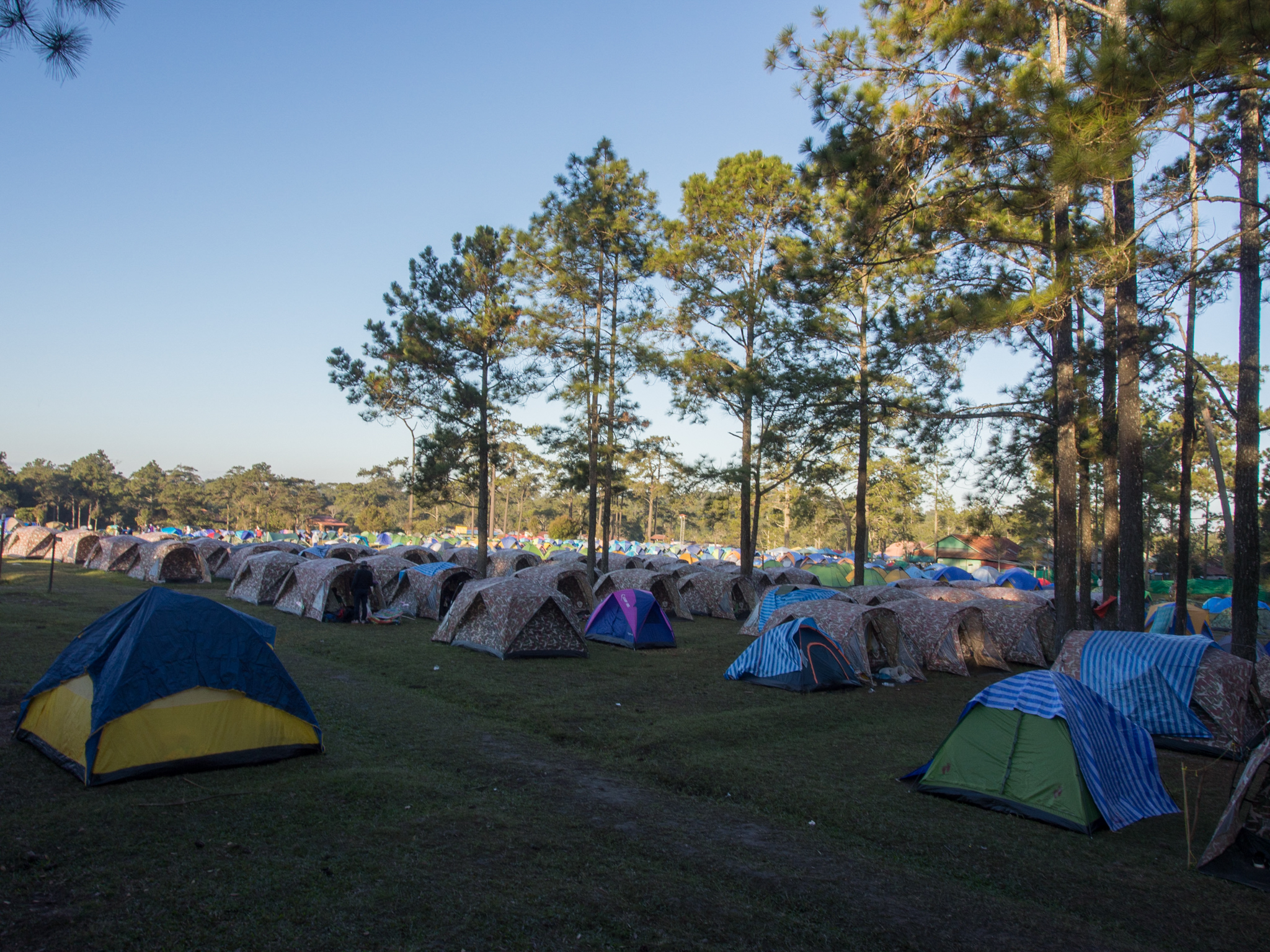 Tents.jpg