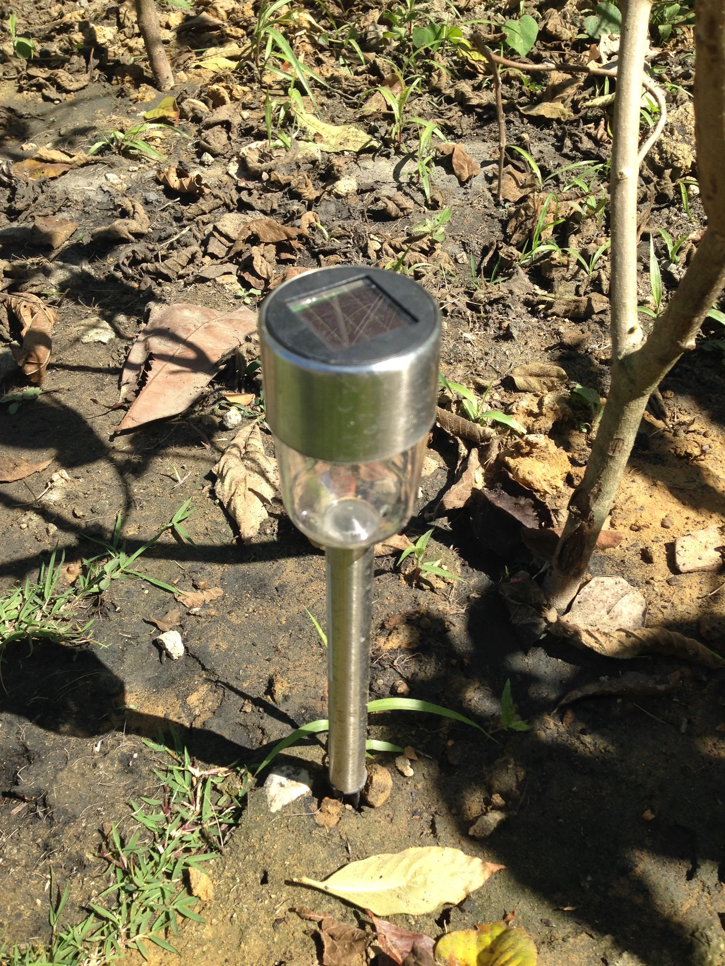 Solar-powered lights - so cool!