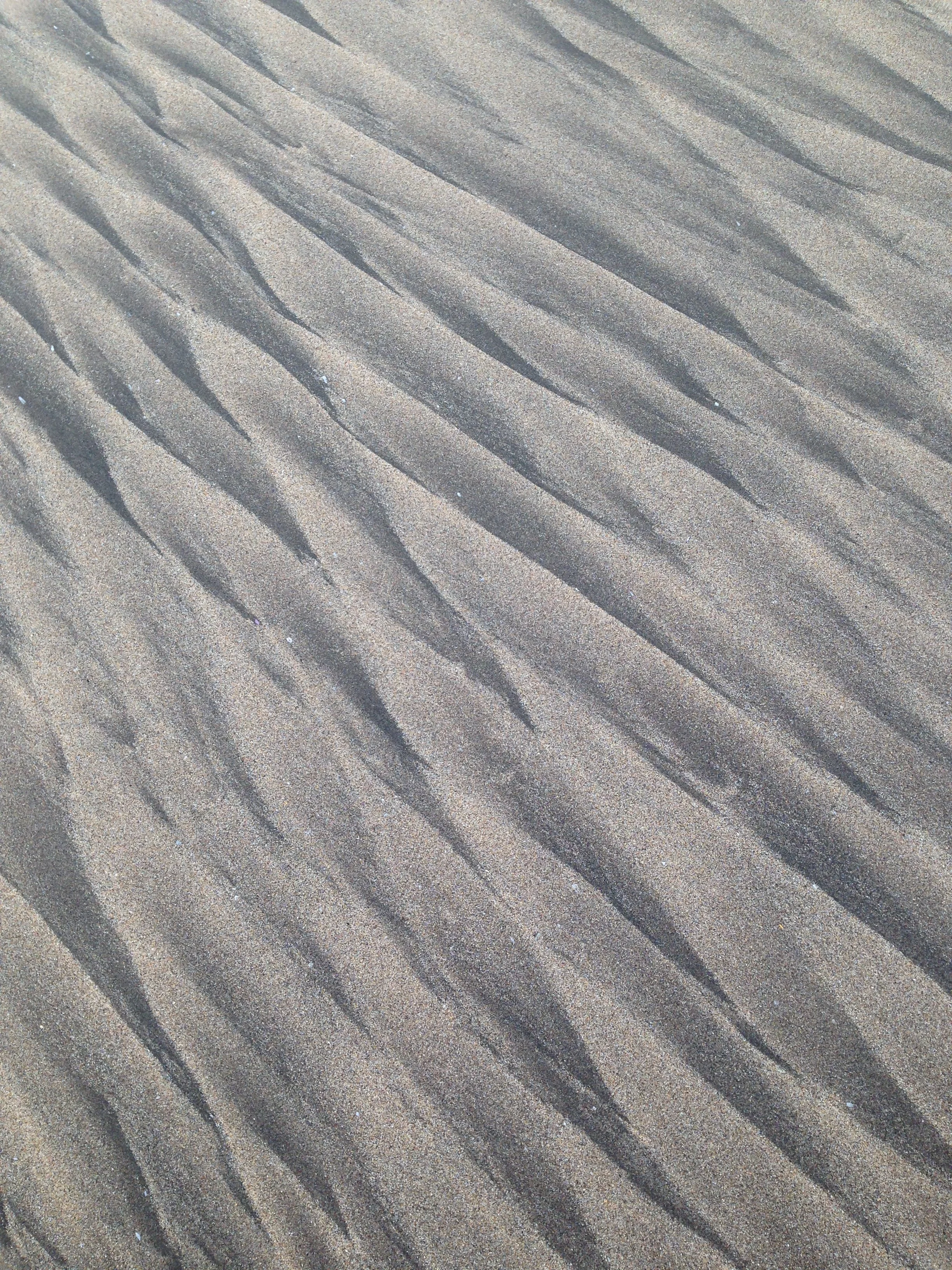 IMG_7042.jpg