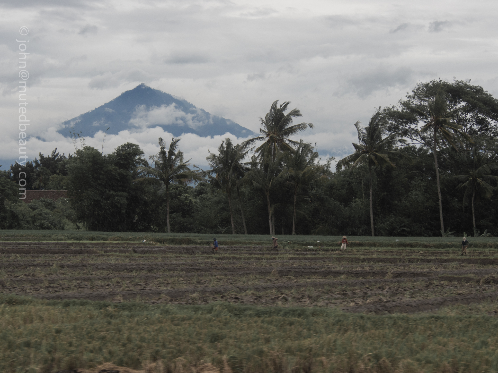 EastJava_Indonesia-2.jpg