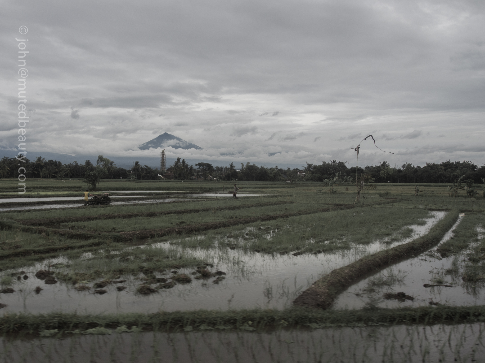EastJava_Indonesia-3.jpg