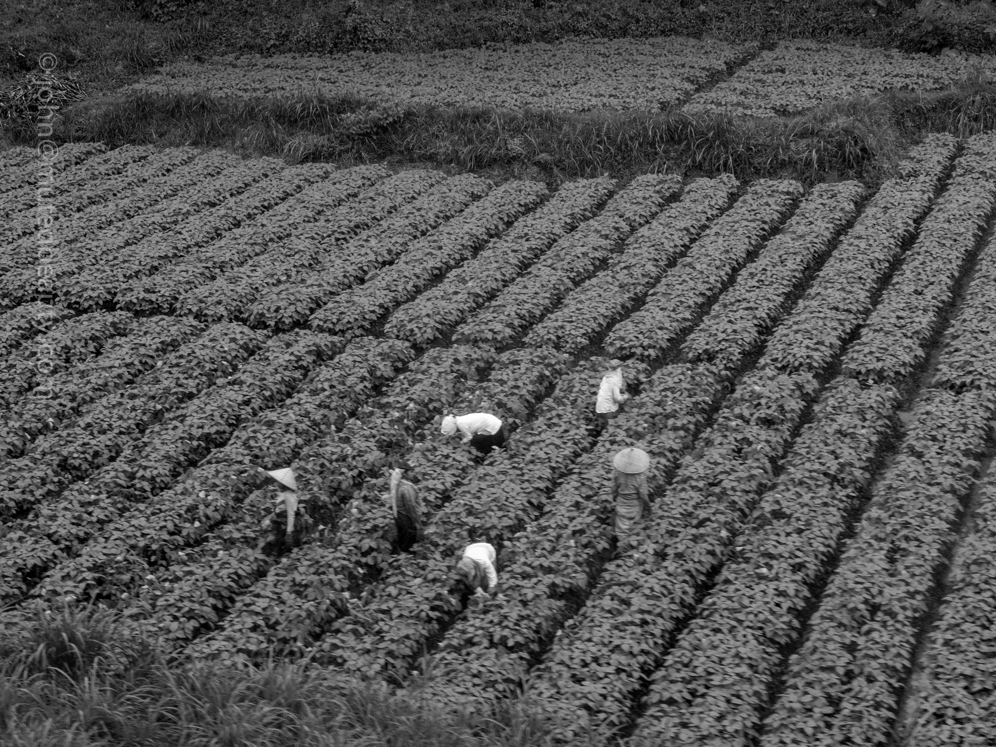 EastJava_Indonesia-4.jpg