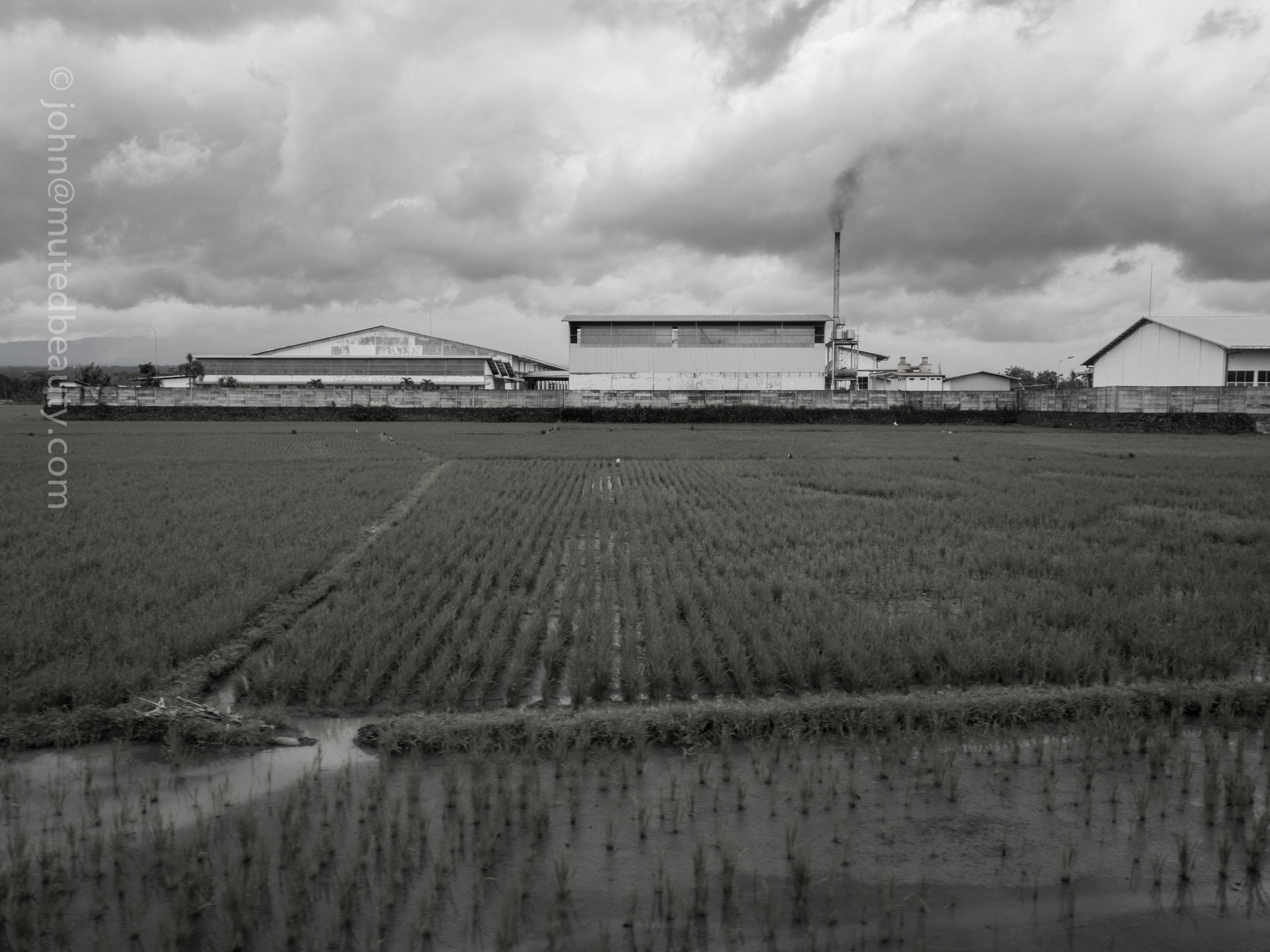 EastJava_Indonesia-6.jpg