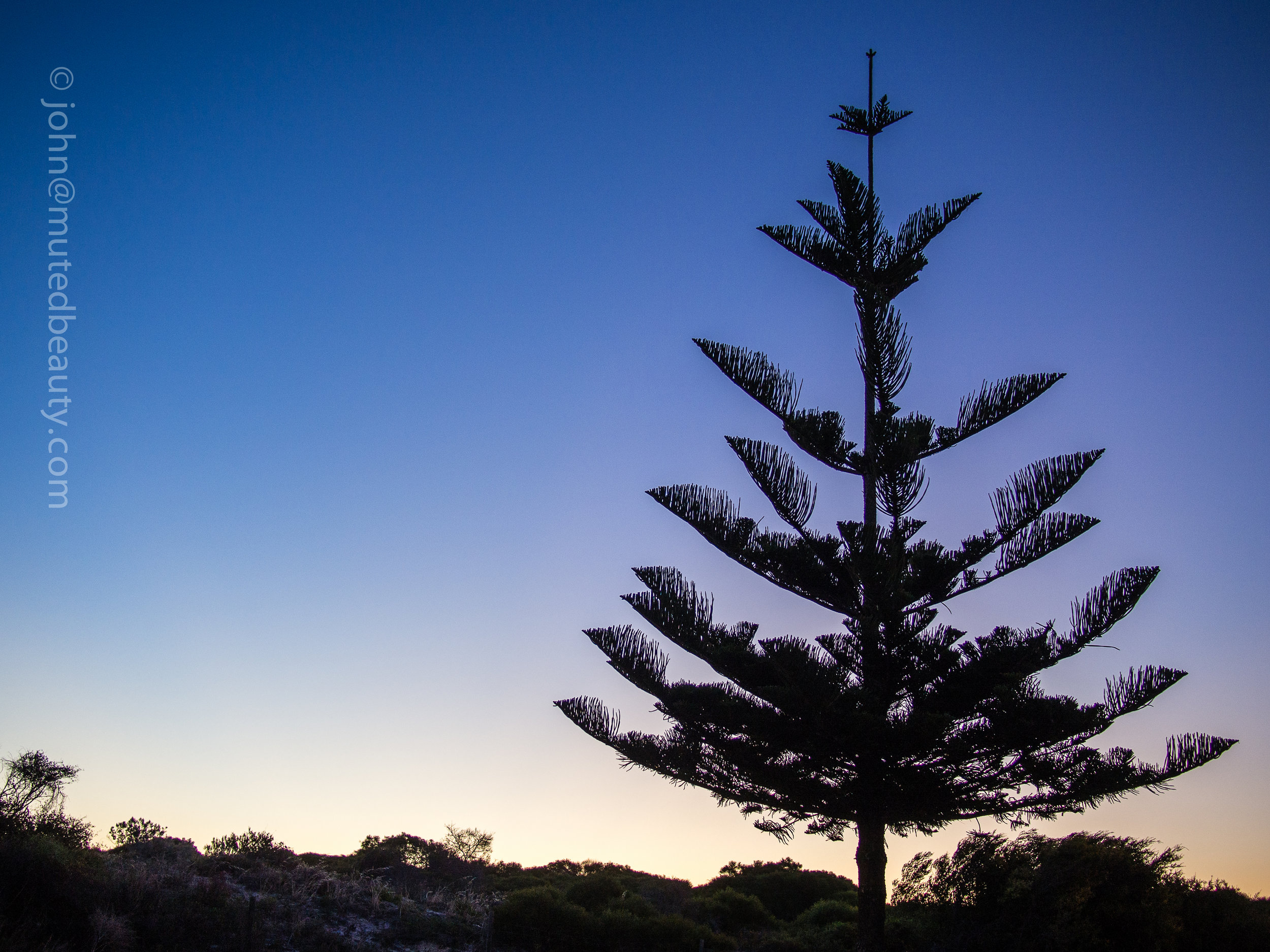 Perth-38.jpg