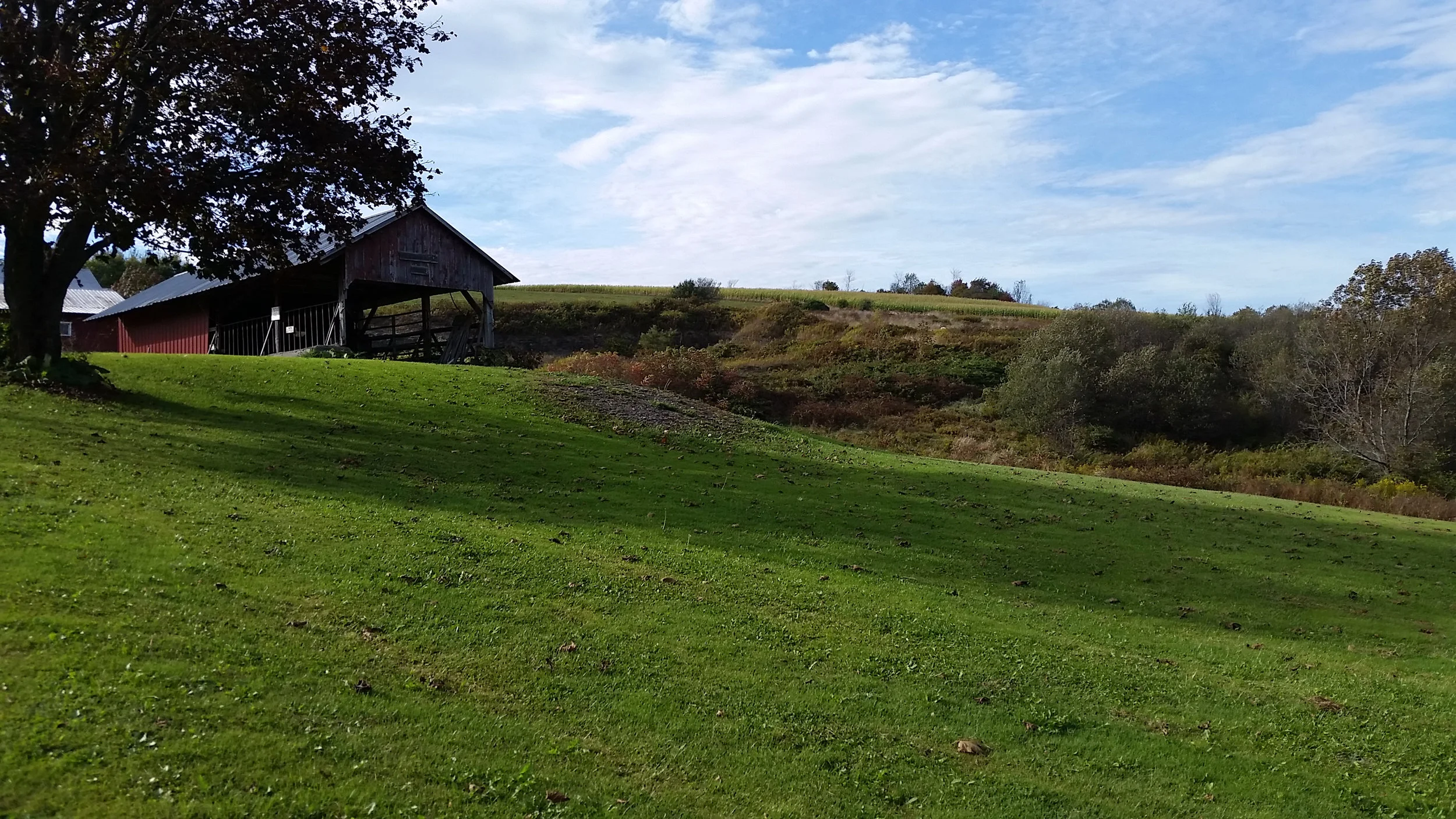 It takes a whole lot of excrement to keep those hills so verdant. Good thing you can't smell a picture.