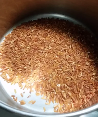 Toasted Rice. Eat a kernal--it tastes just like puffed rice cereal. Enjoy.