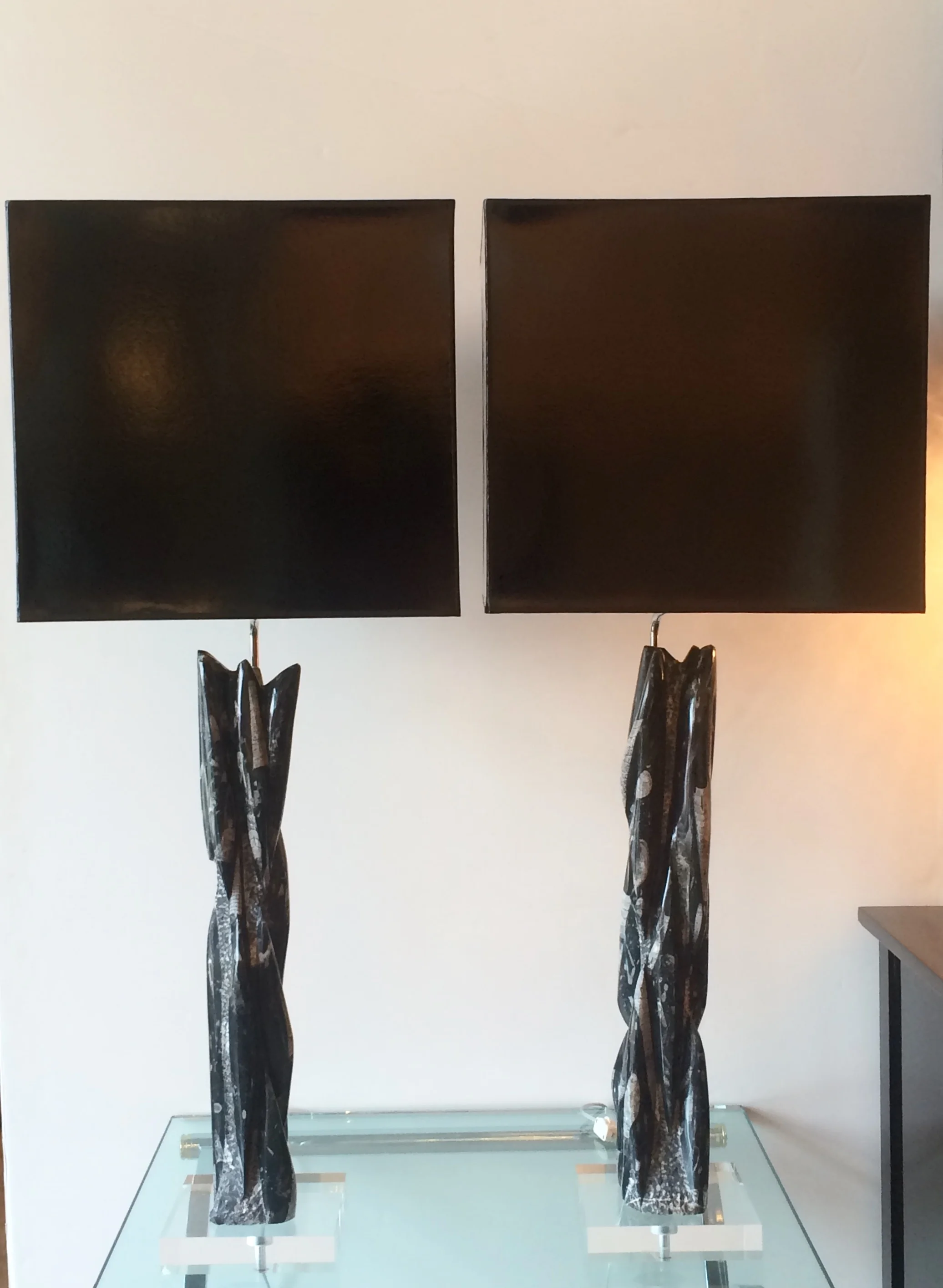 SOLD    Pair Orthoceras Fossil as lamps