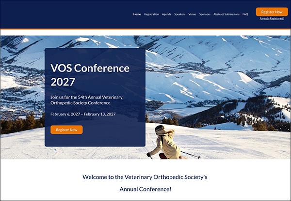 VOS 2027 Conference portal graphic