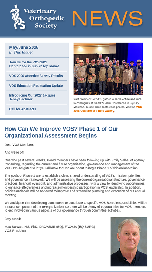 VOS newsletter image