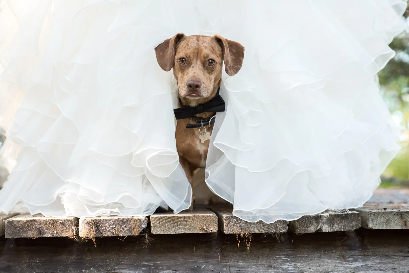 Brad Tombers Photography-2380.jpg