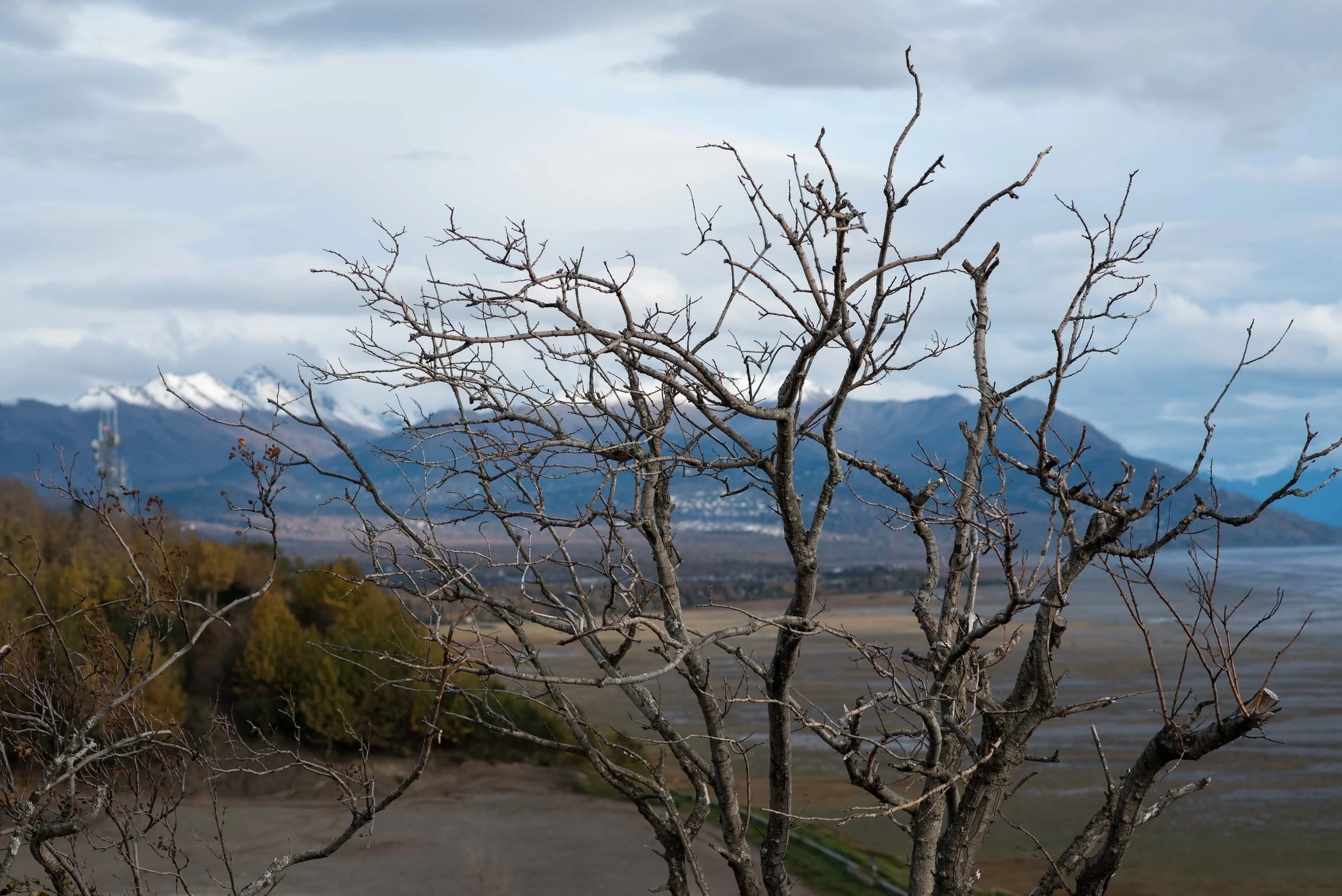 Brad Tombers Photography-1364.jpg