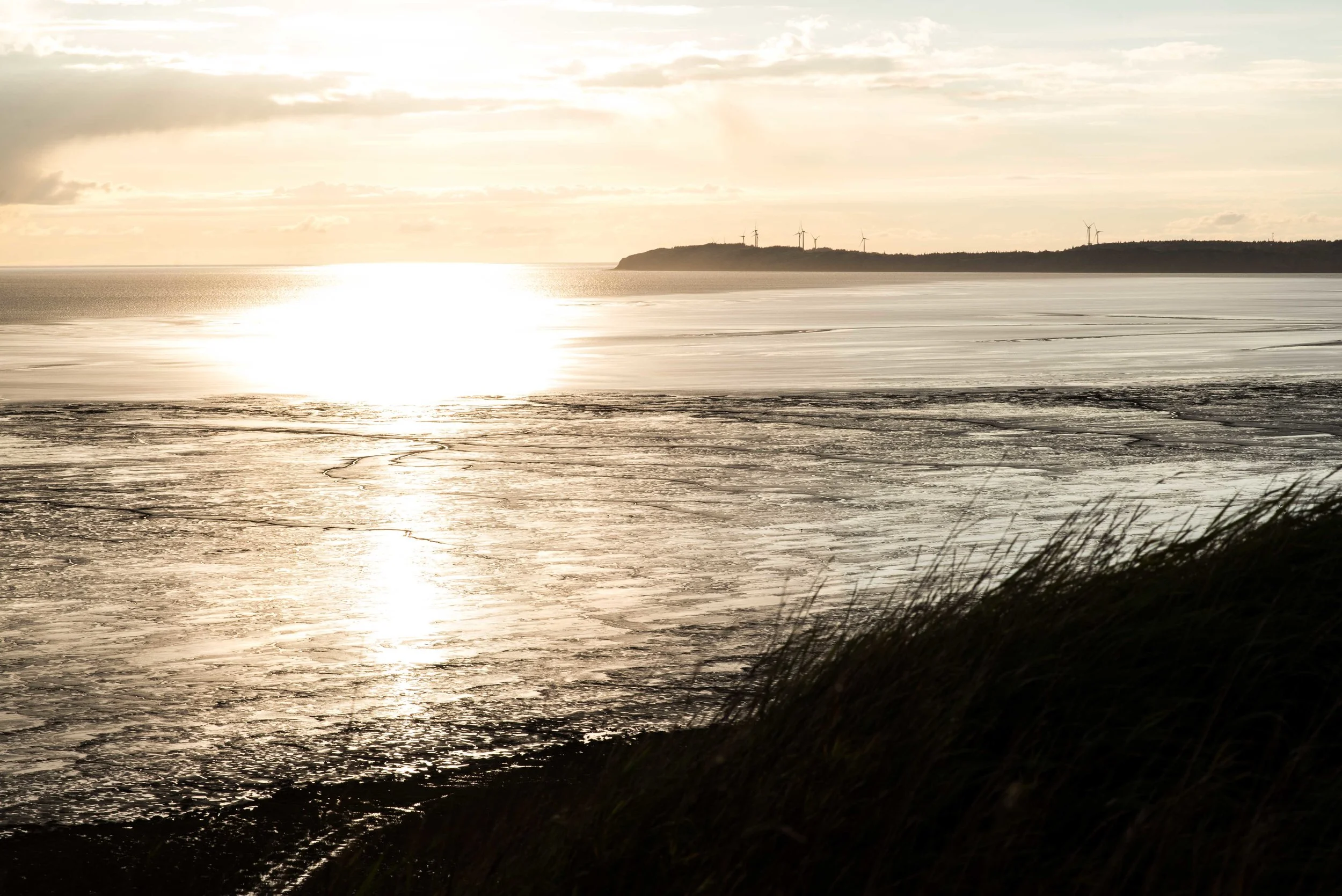 Brad Tombers Photography-1772.jpg