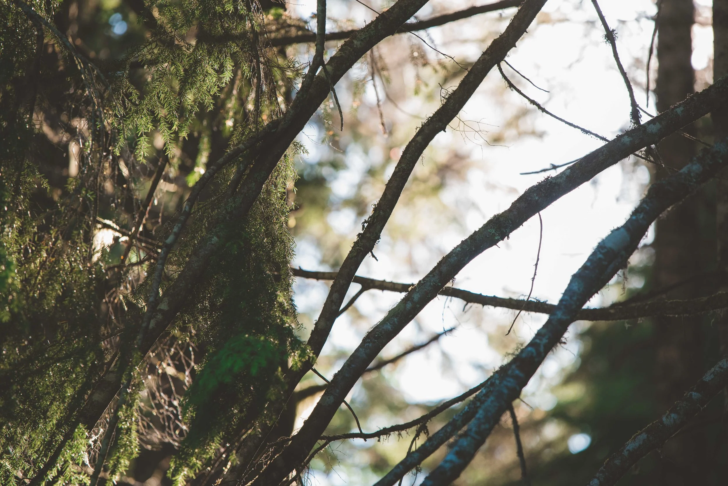 Brad Tombers Photography-1333.jpg