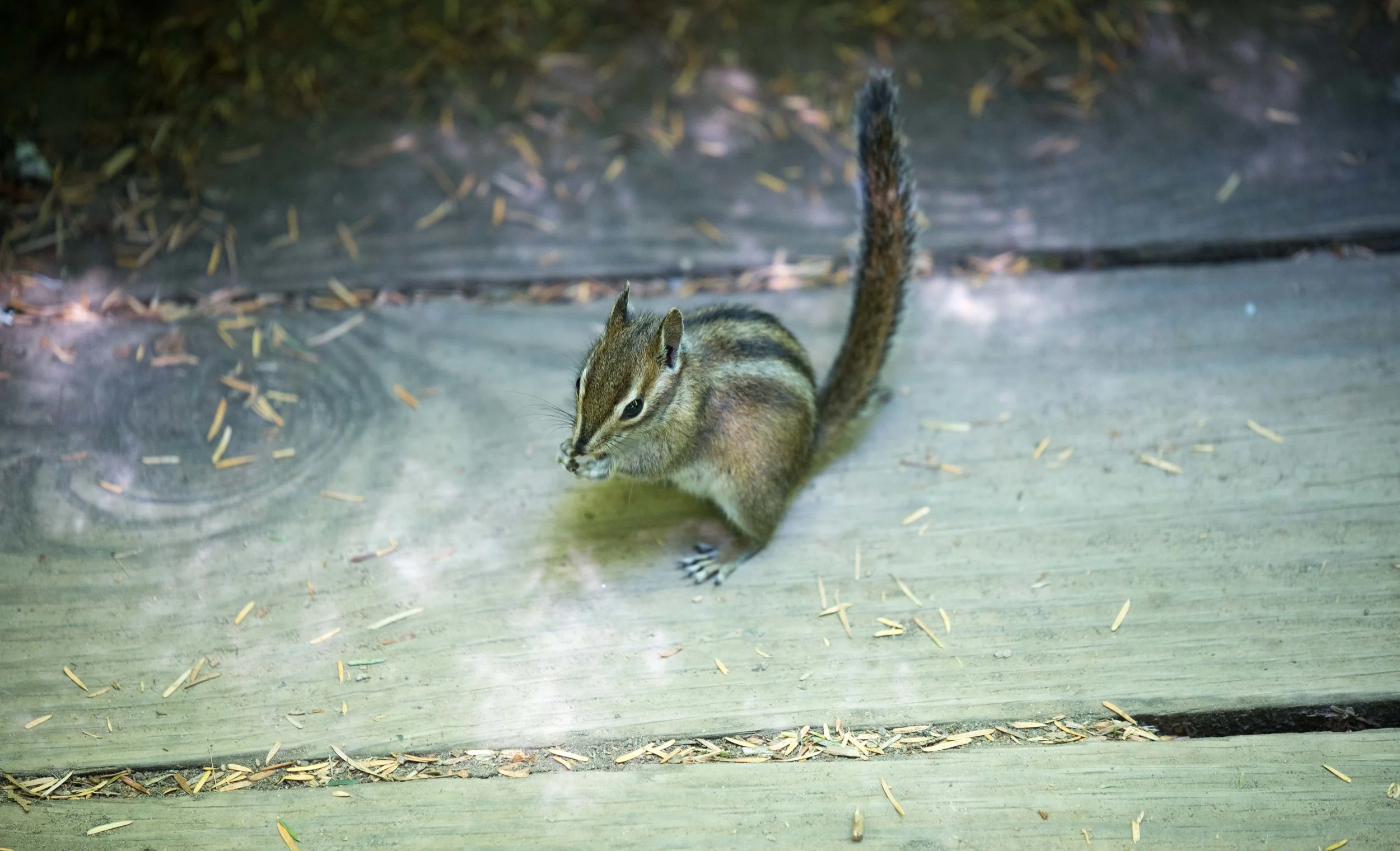 Brad Tombers Photography-2226.jpg
