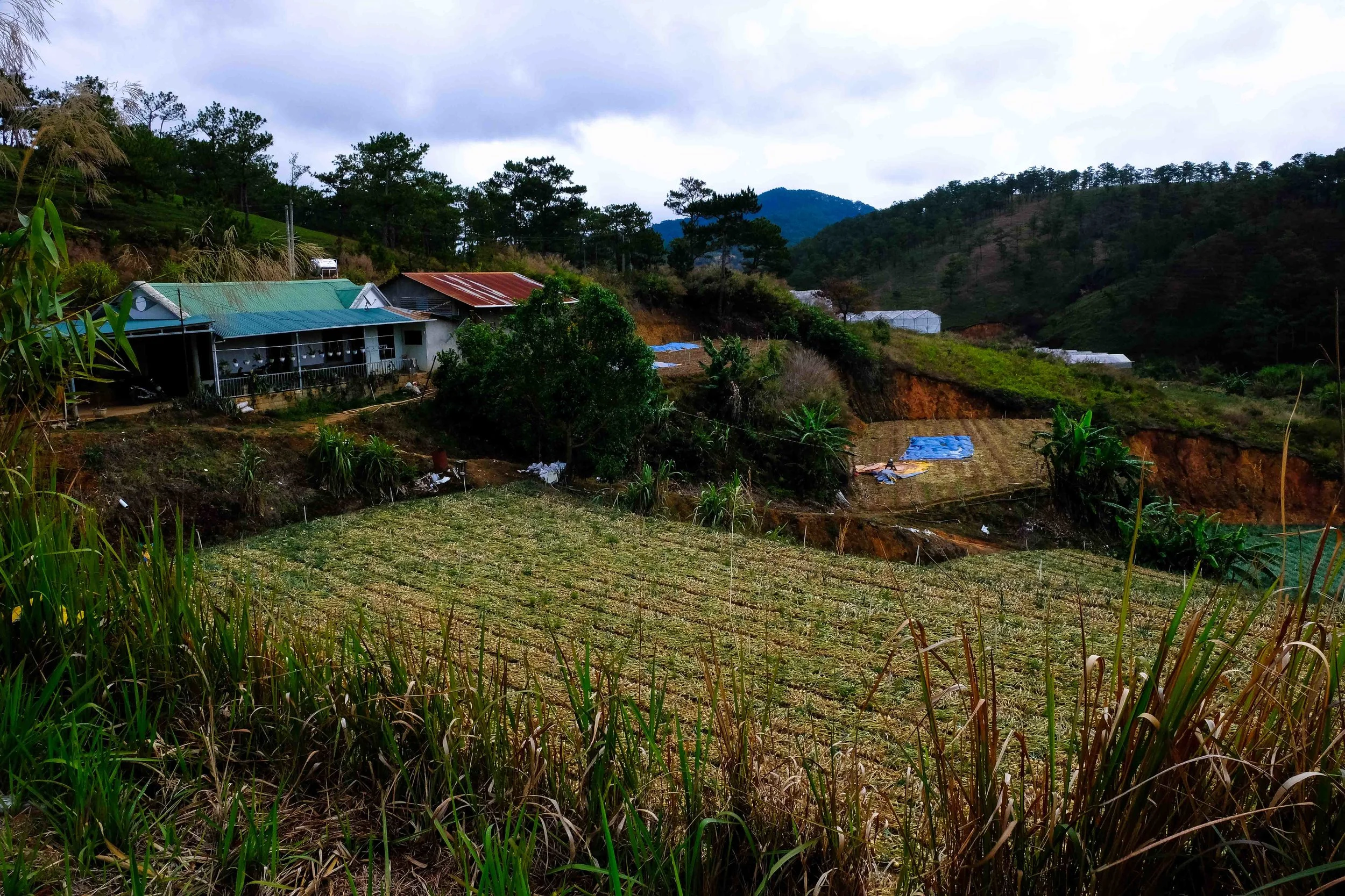 DSCF3590.jpg