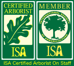 ISA-Member-Arborist-2.png