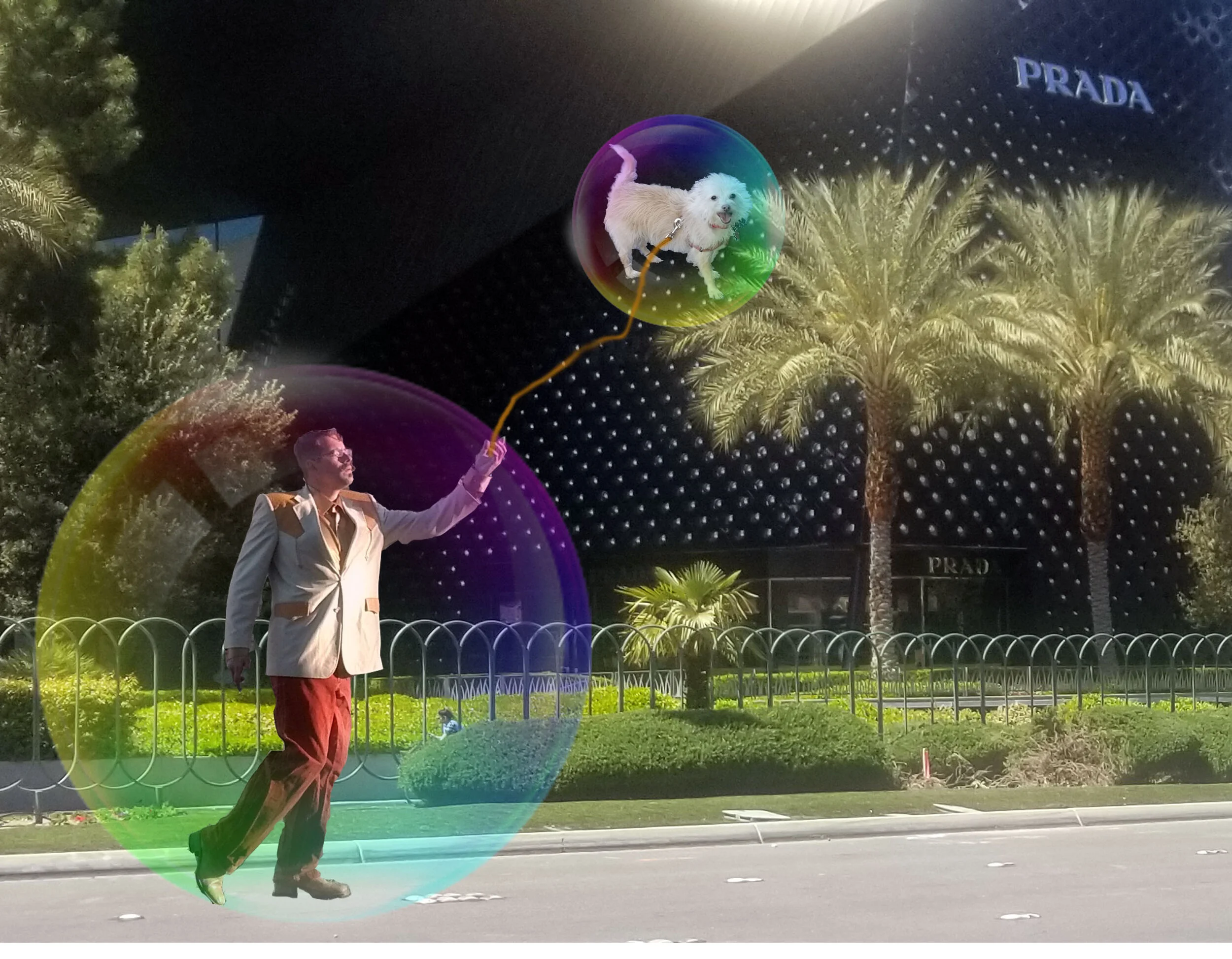BUBBLEDOG.jpg