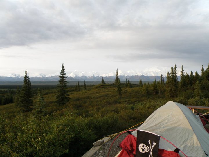 Our honeymoon suite. Denali National Park, Alaska