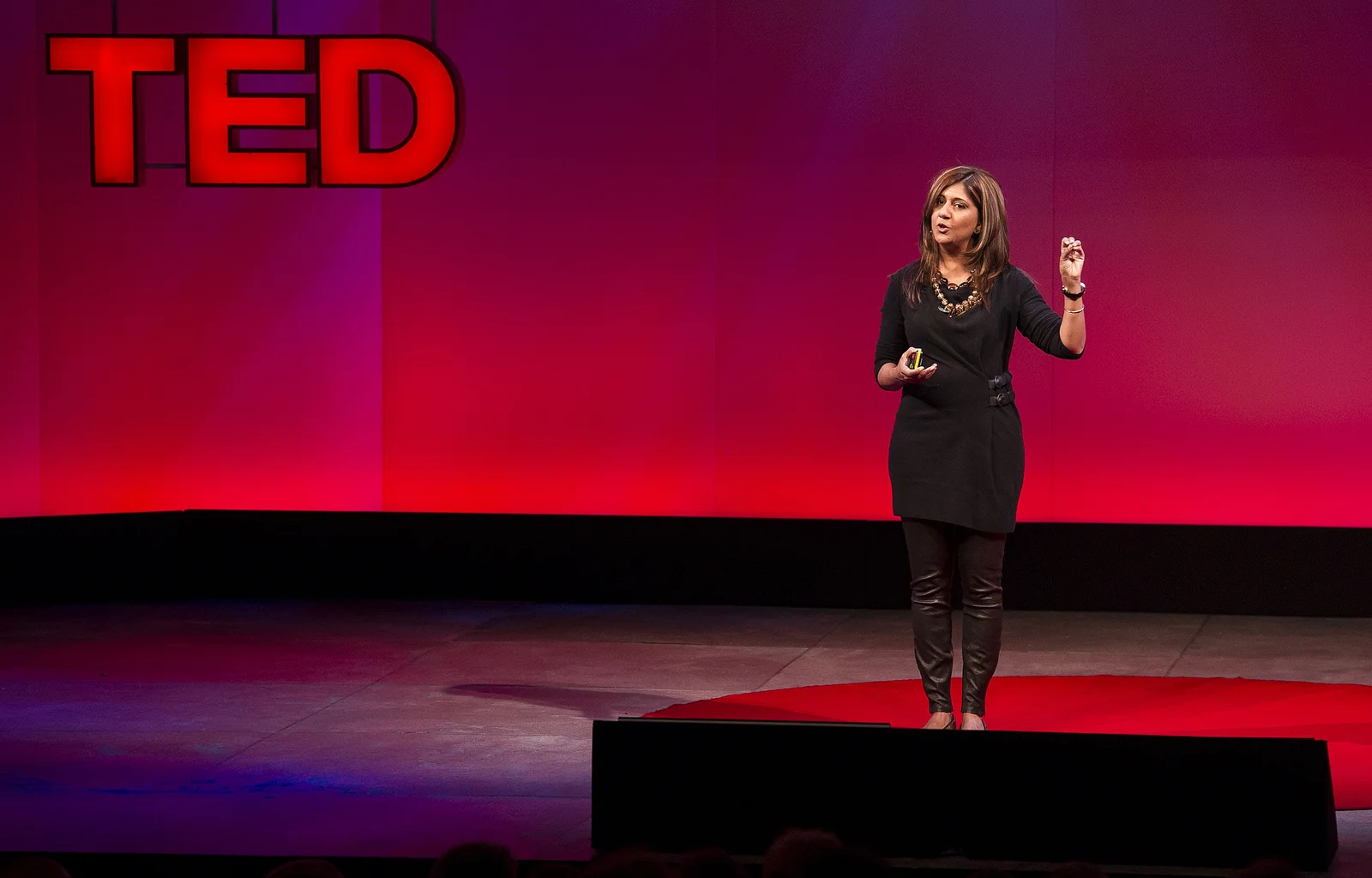 How to Pitch the TED Way Without Having to Be a Genius