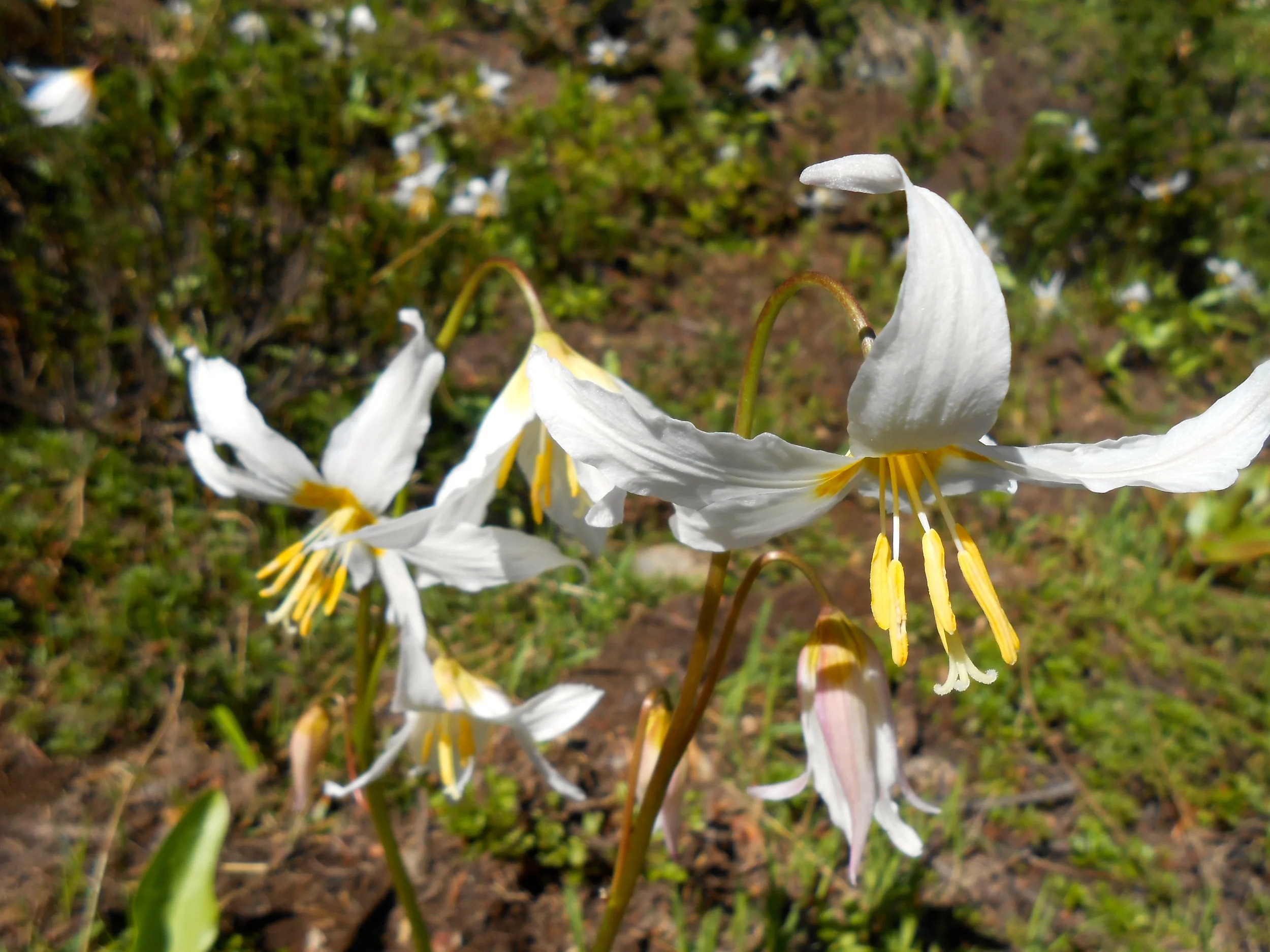 DSCN1583.JPG