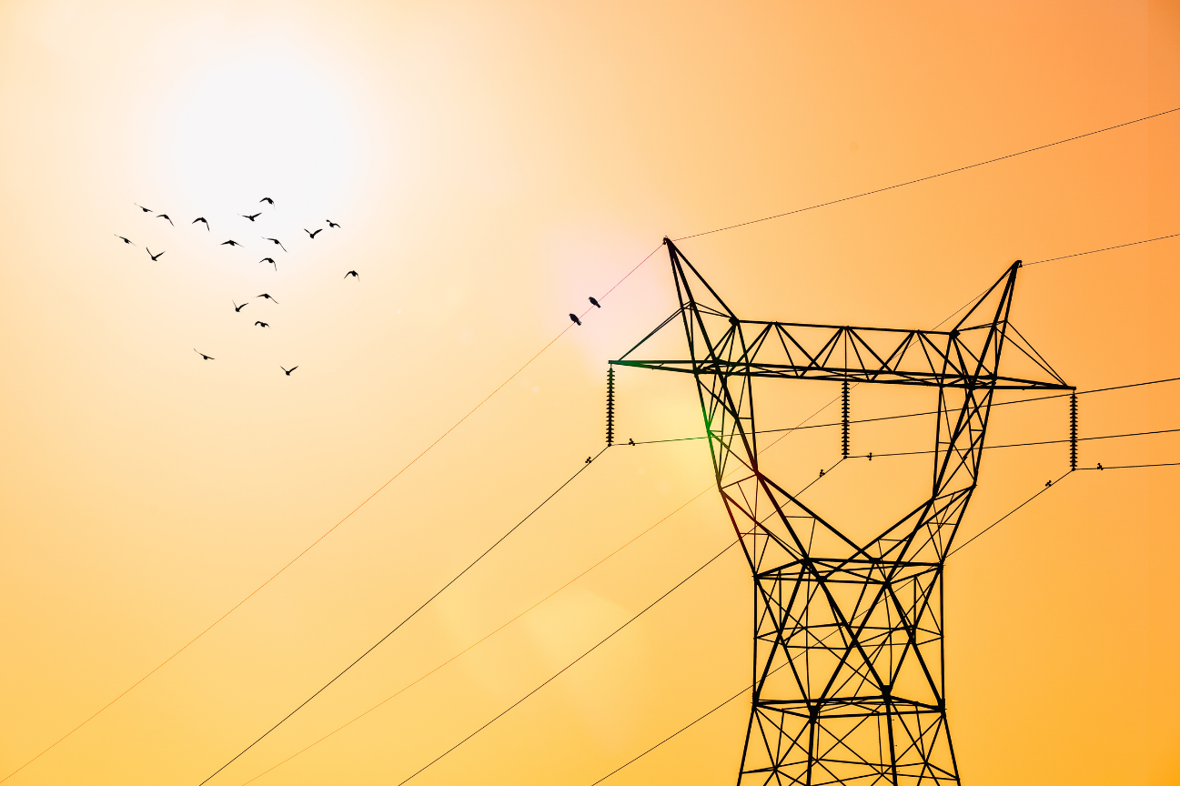 IPPs