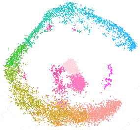 small_tSNE2.gif